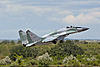 http://www.airforce.ru/content/attachments/72360-zinchuk-mig-29smt-25-1600.jpg