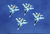 http://www.airforce.ru/content/attachments/73710-v-perminov-su-30sm-1600.jpg