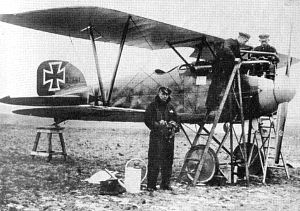 Albatros III